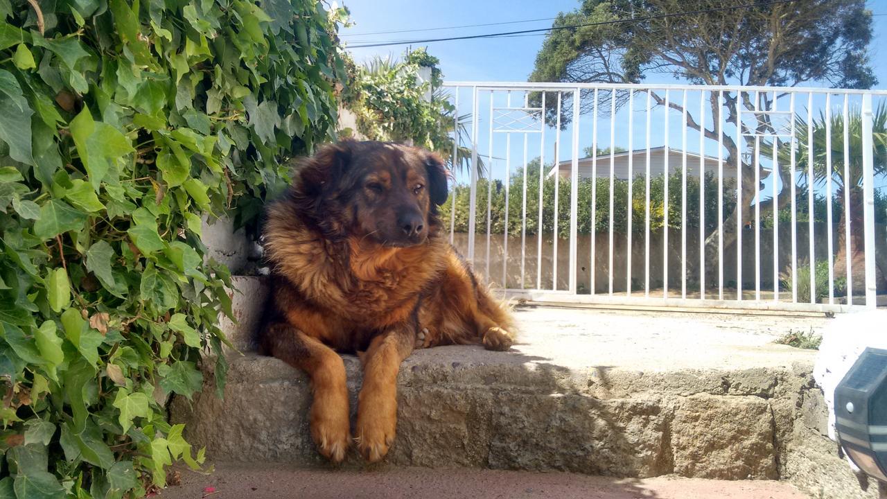 Mirador De Soledad Alojamento *